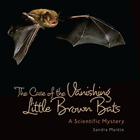 the Case of Vanishing Little Brown Bats: A Scientific Mystery