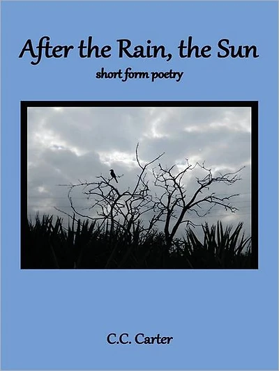 After the Rain, the Sun: short form poetry