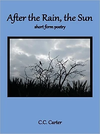 After the Rain, the Sun: short form poetry