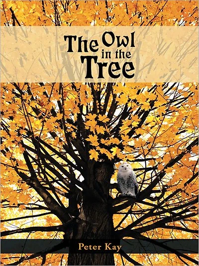 the Owl Tree
