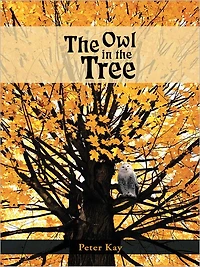 the Owl Tree