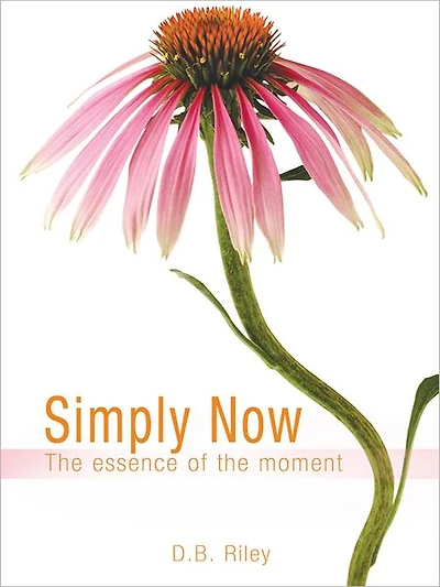Simply Now: The essence of the moment