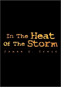 In The Heat Of The Storm