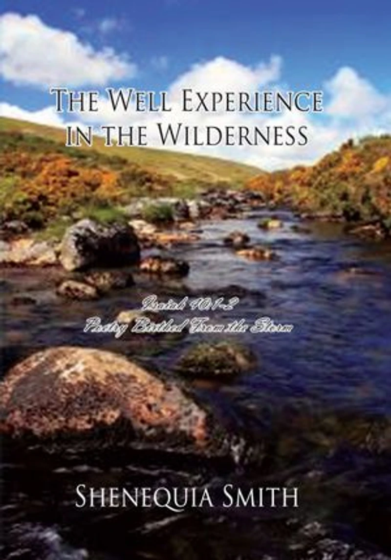 The Well Experience in the Wilderness: Poetry Birthed From the Storm