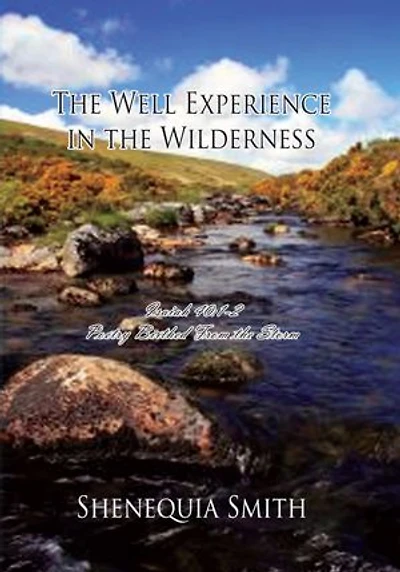 The Well Experience in the Wilderness: Poetry Birthed From the Storm