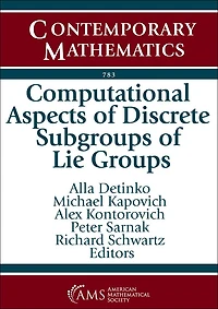 Computational Aspects of Discrete Subgroups of Lie Groups