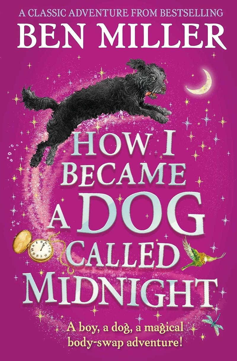 How I Became a Dog Called Midnight: magical adventure from The bestselling author of Day Fell Into Fairytale
