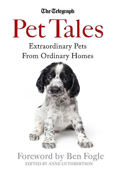 Pet Tales: Extraordinary Pets From Ordinary Homes
