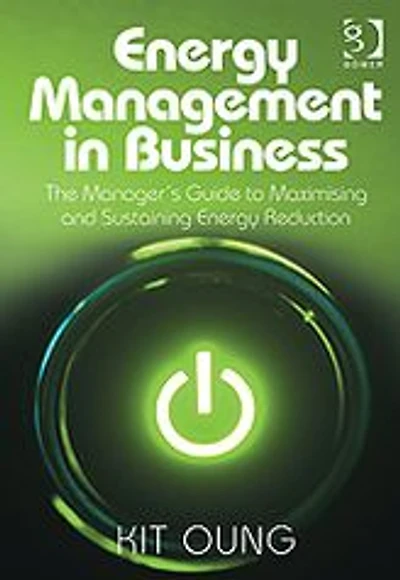 Energy Management Business: The Manager's Guide to Maximising and Sustaining Reduction