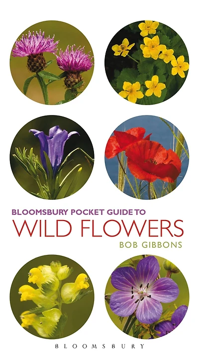 Pocket Guide To Wild Flowers