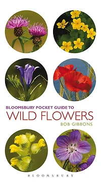 Pocket Guide To Wild Flowers