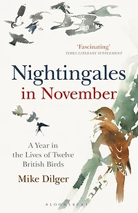 Nightingales November: A Year the Lives of Twelve British Birds