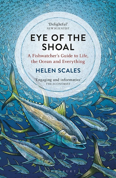 Eye of the Shoal: A Fishwatcher's Guide to Life, Ocean and Everything
