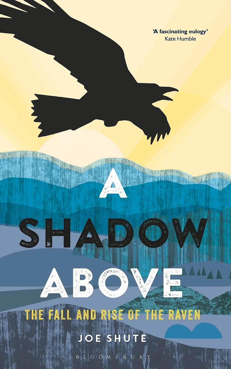 A Shadow Above: the Fall and Rise of Raven
