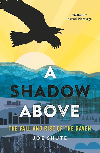 A Shadow Above: the Fall and Rise of Raven