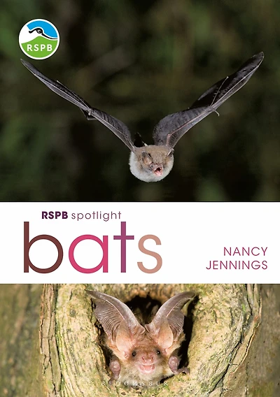 RSPB Spotlight Bats