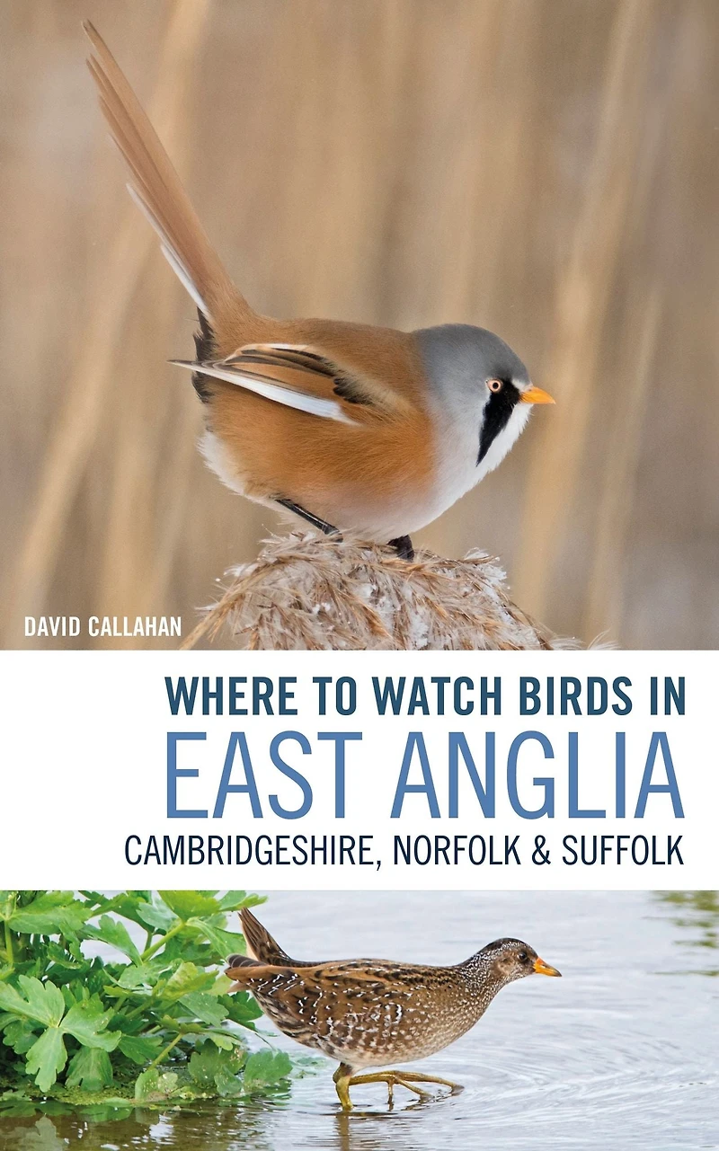 Where to Watch Birds East Anglia: Cambridgeshire, Norfolk and Suffolk