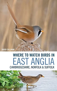 Where to Watch Birds East Anglia: Cambridgeshire, Norfolk and Suffolk