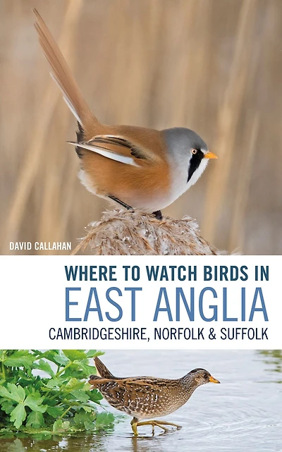 Where to Watch Birds East Anglia: Cambridgeshire, Norfolk and Suffolk
