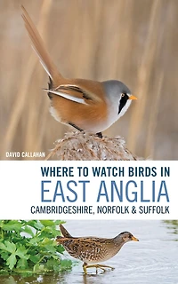 Where to Watch Birds East Anglia: Cambridgeshire, Norfolk and Suffolk