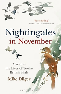 Nightingales November: A Year the Lives of Twelve British Birds