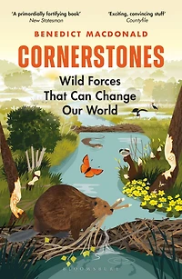 Cornerstones: Wild Forces That Can Change Our World