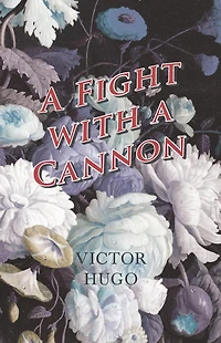 a Fight with Cannon