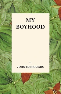 My Boyhood