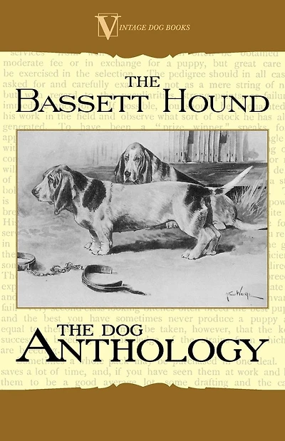 The Basset Hound - A Dog Anthology (A Vintage Books Breed Classic)
