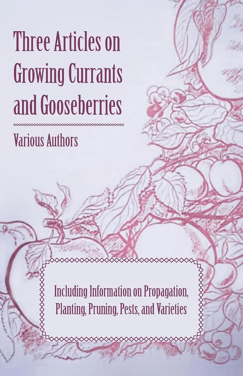 Three Articles on Growing Currants and Gooseberries - Including Information Propagation, Planting, Pruning, Pests, Varieties