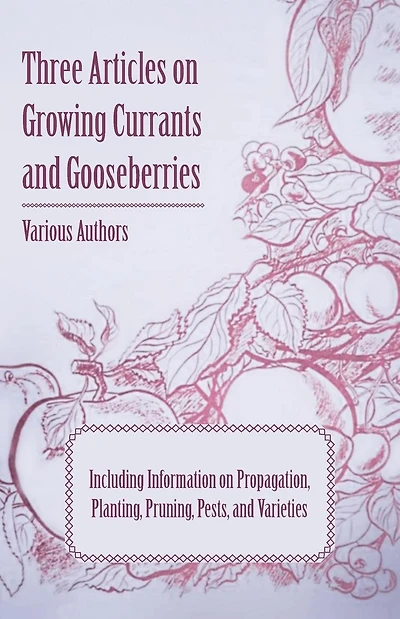 Three Articles on Growing Currants and Gooseberries - Including Information Propagation, Planting, Pruning, Pests, Varieties
