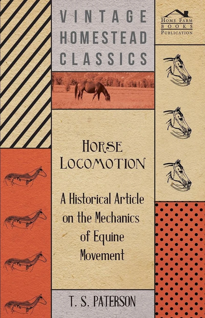 Horse Locomotion - A Historical Article on the Mechanics of Equine Movement
