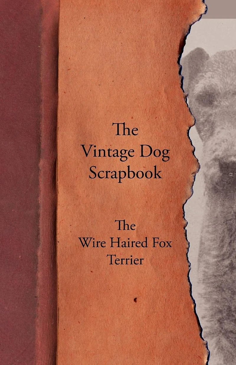 The Vintage Dog Scrapbook - Wire Haired Fox Terrier