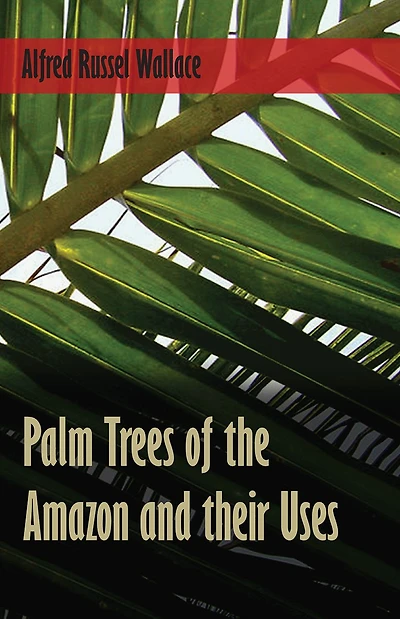Palm Trees of the Amazon and Their Uses