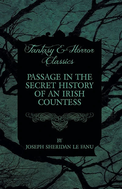 Passage the Secret History of an Irish Countess