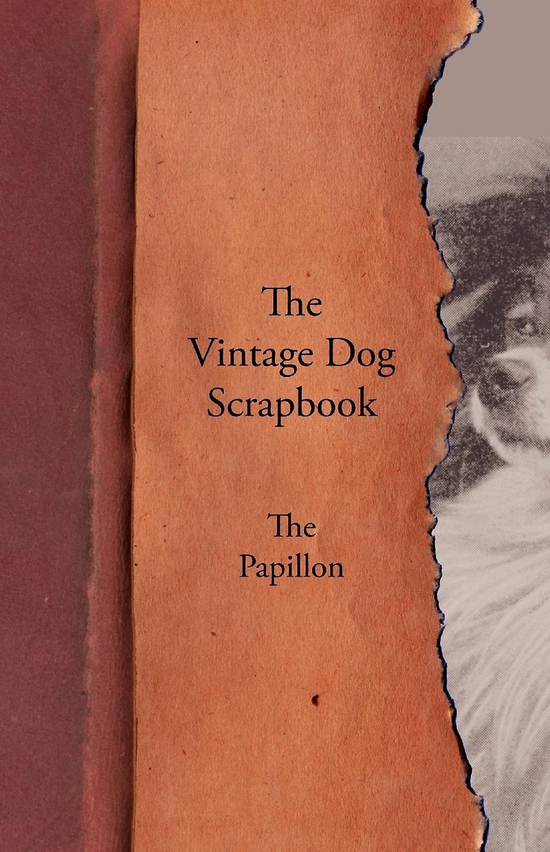 The Vintage Dog Scrapbook - Papillon