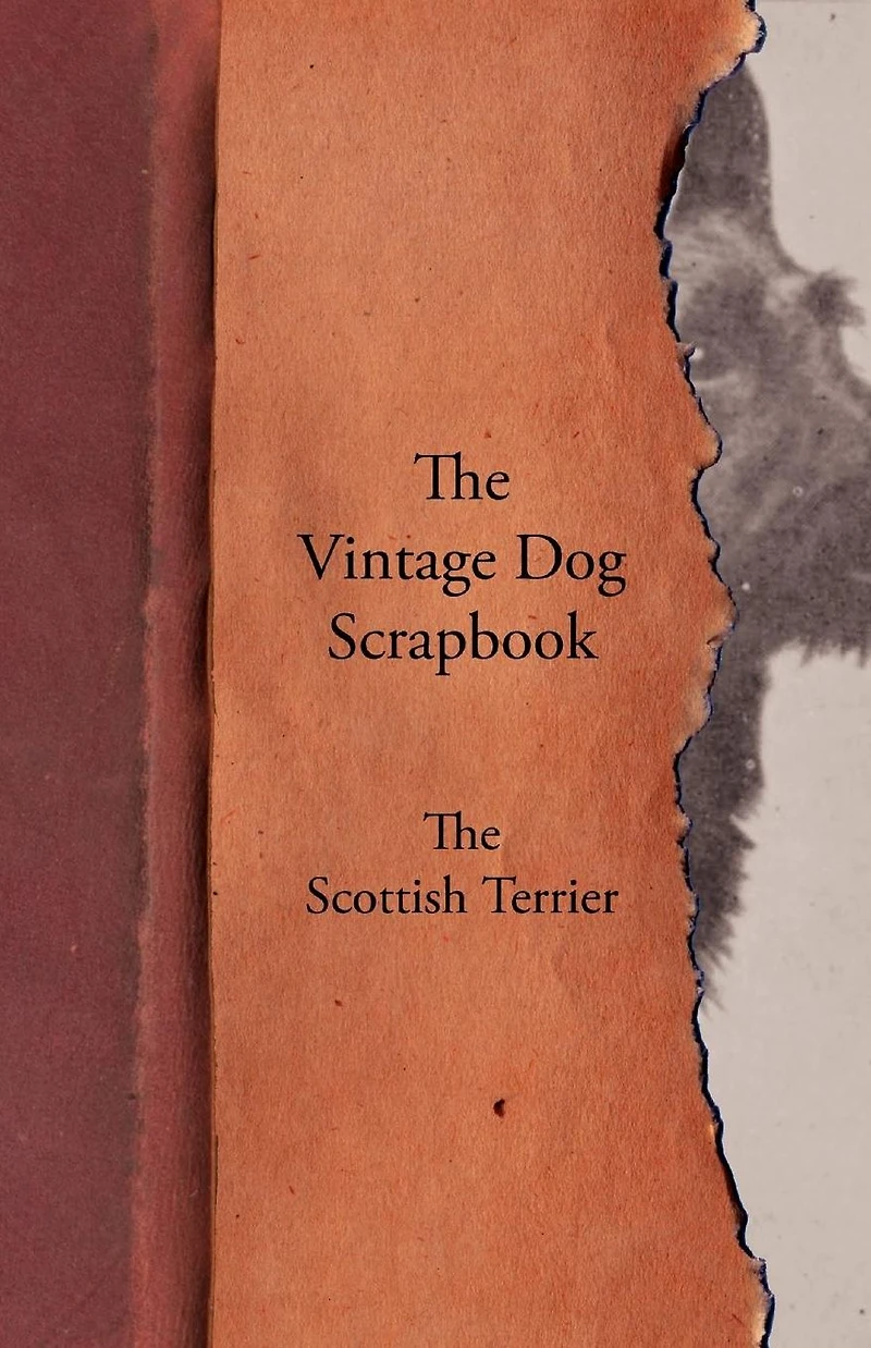 The Vintage Dog Scrapbook - Scottish Terrier