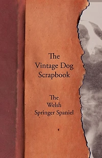 The Vintage Dog Scrapbook - Welsh Springer Spaniel