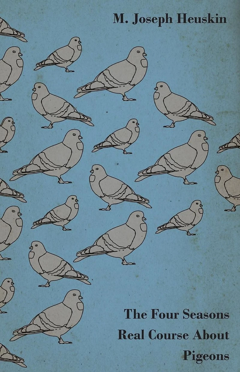 The Four Seasons Real Course About Pigeons