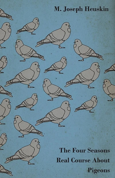 The Four Seasons Real Course About Pigeons