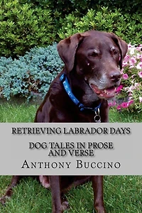 Retrieving Labrador Days dog tales prose and verse