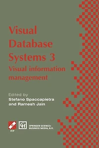 Visual Database Systems 3: information management