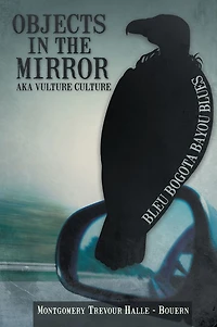 Objects in the Mirror aka Vulture Culture