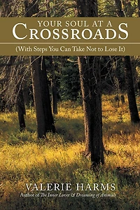 Your Soul at a Crossroads: (With Steps You Can Take Not to Lose It)