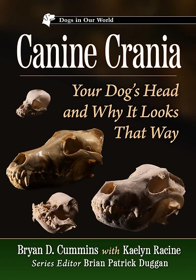 Canine Crania: Your Dog's Head and Why It Looks That Way