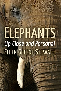 Elephants: Up Close and Personal