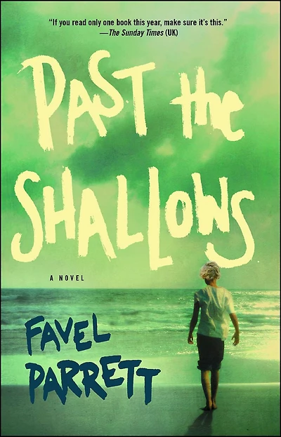 Past the Shallows: A Novel