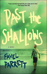 Past the Shallows: A Novel