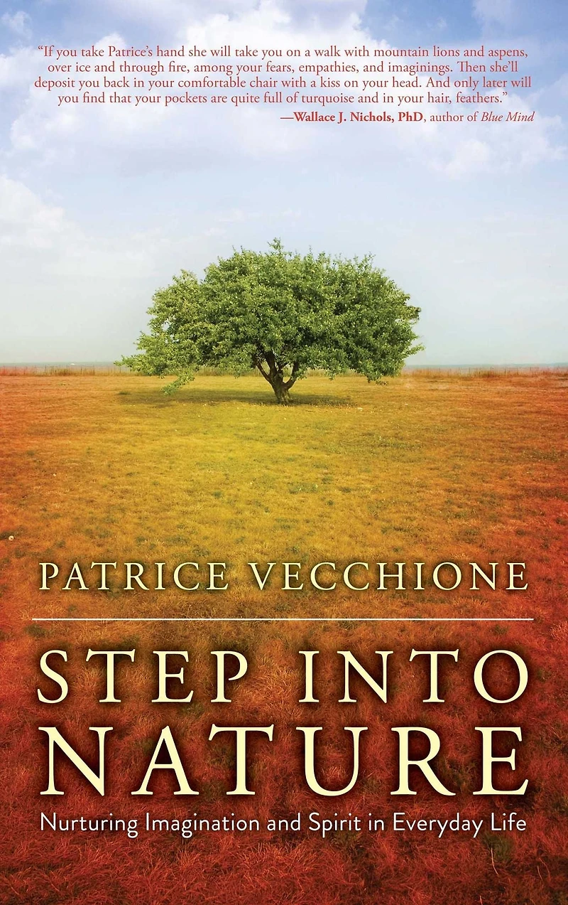 Step into Nature: Nurturing Imagination and Spirit Everyday Life