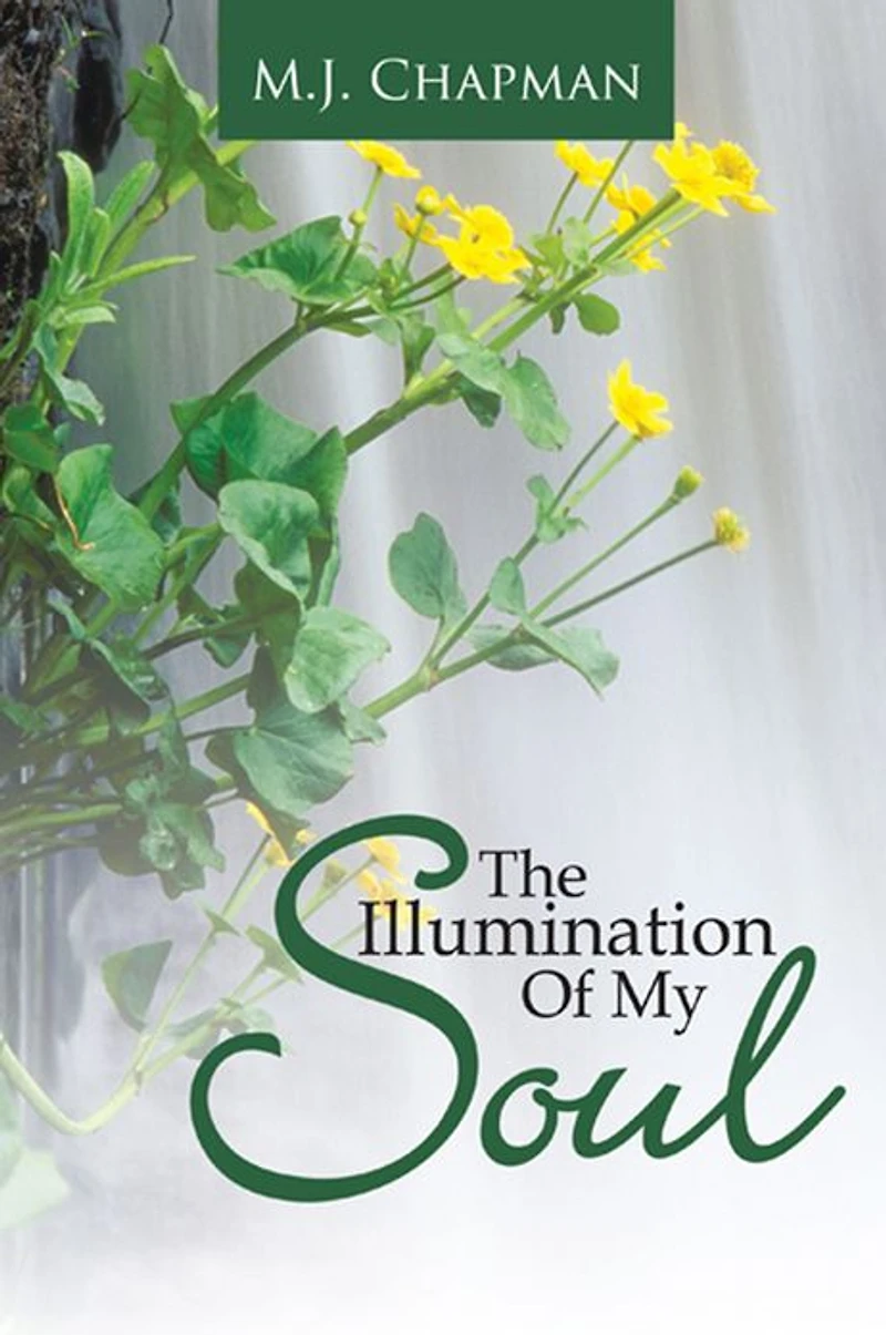 The Illumination Of My Soul